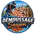Démoussage Saujon - Nettoyage Toiture Façade Terrasse Charente-Maritime